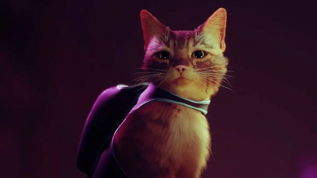 Cyberpunk cat adventure Stray gets a gameplay trailer and July release date  | PC Gamer