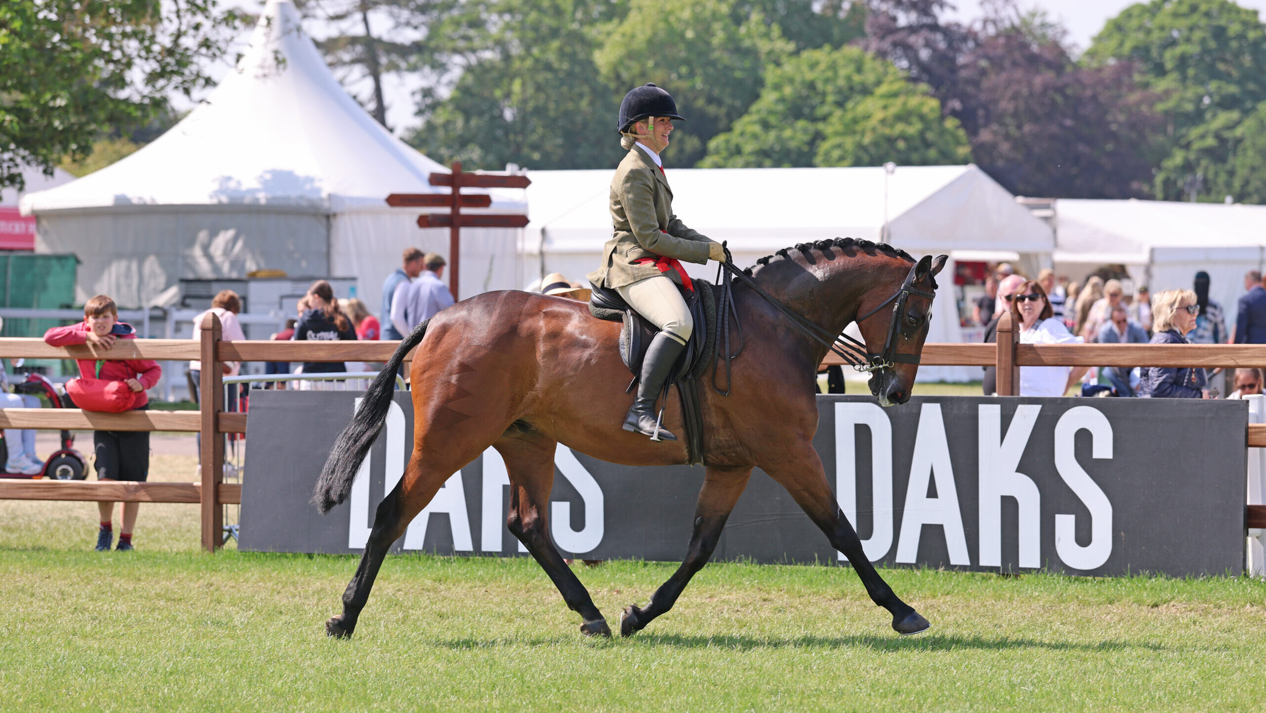 Sophie O'Keeffe and Rosemore Midnight Rendezvous trot to glory in the intermediate championship