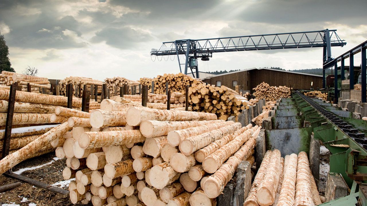 A lumber yard 