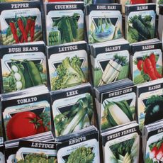 Seed packets in store