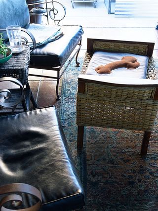 Daylight image of the museum interior, brown stone floor, multicoloured rug, wicker table , black leather chairs with metal frame design, house plant in a green bowl, glass half filled with water