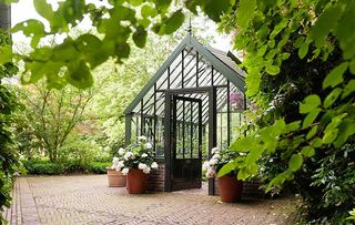 Greenhouse in grounds of home