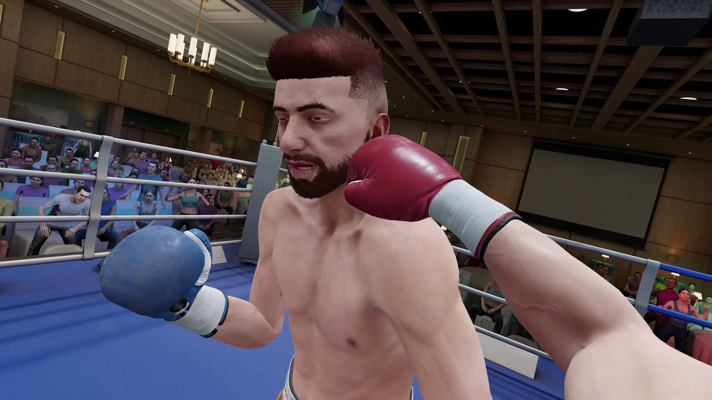 Screenshot from VR game Thrill of the Fight 2