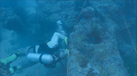 Is This Amelia Earhart's Plane? Debris from Wreck Found Off Papua New