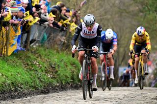 OUDENAARDE BELGIUM APRIL 02 Tadej Pogacar of Slovenia and UAE Team Emirates Mathieu Van Der Poel of The Netherlands and Team AlpecinDeceuninck and Wout Van Aert of Belgium and Team JumboVisma compete during the 107th Ronde van Vlaanderen Tour des Flandres 2023 Mens Elite a 2734km one day race from Brugge to Oudenaarde UCIWT on April 02 2023 in Brugge Belgium Photo by Dirk Waem PoolGetty Images