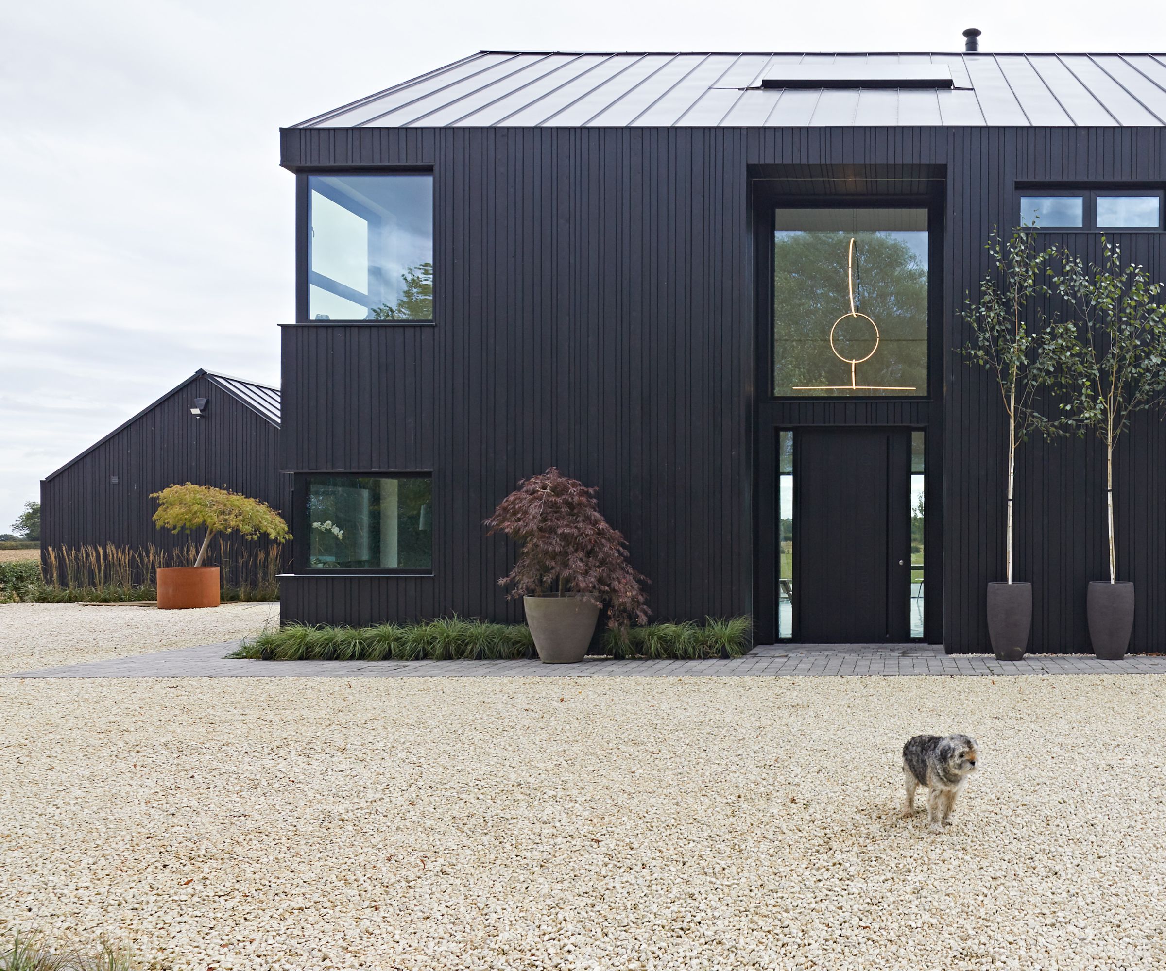A contemporary black-clad house with a light gravel driveway, potted trees at the entrance, and a small dog standing in the front.