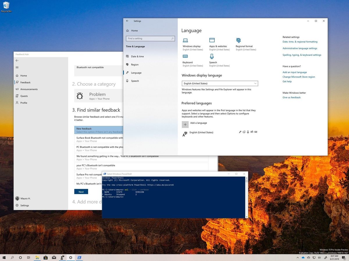 Windows 10 build 18922 (and earlier) for PC: Everything you need to ...