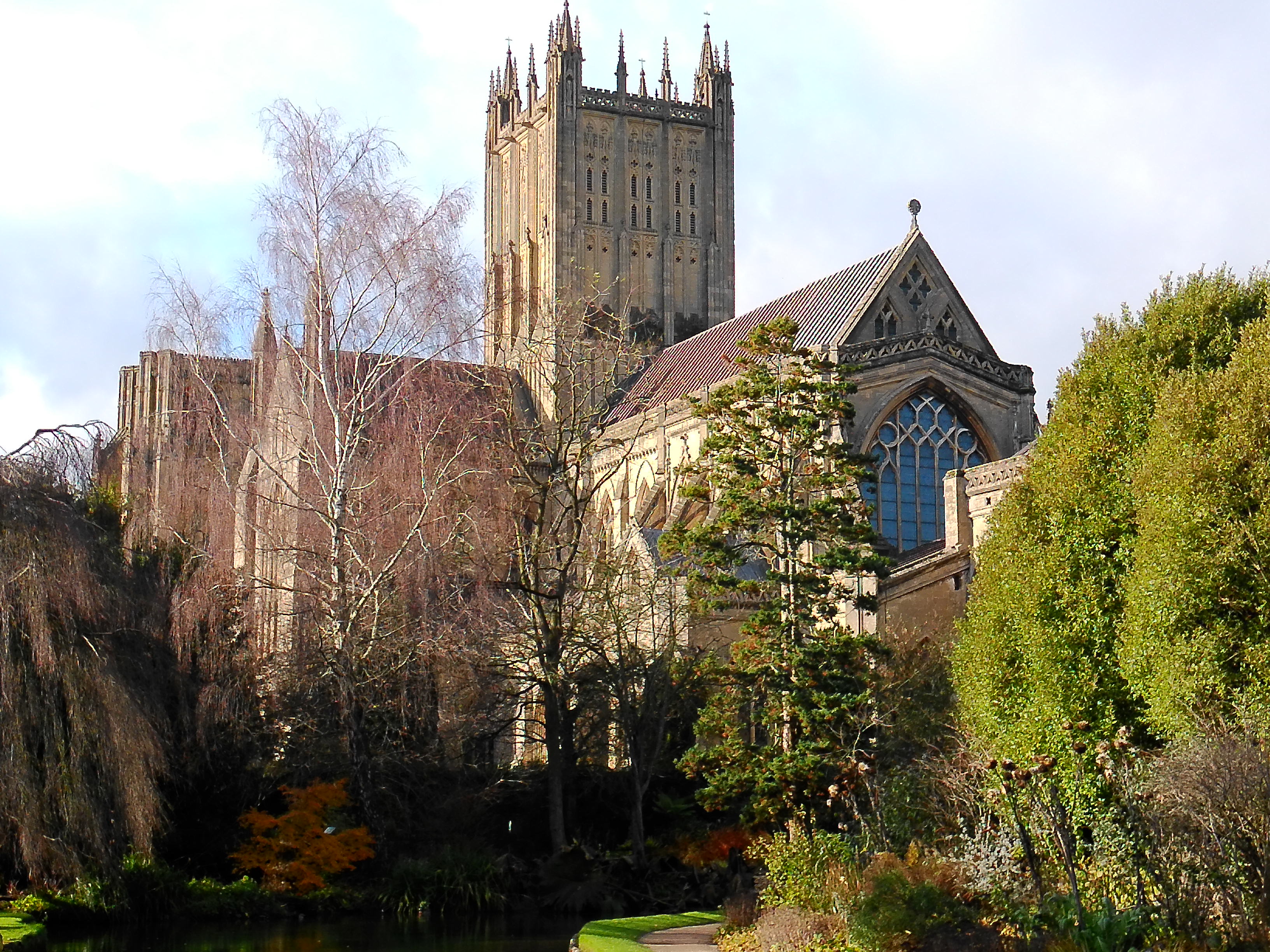 Yashica City 300 example shot