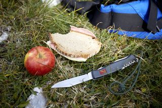 Camping knife with apple and sandwich on grass