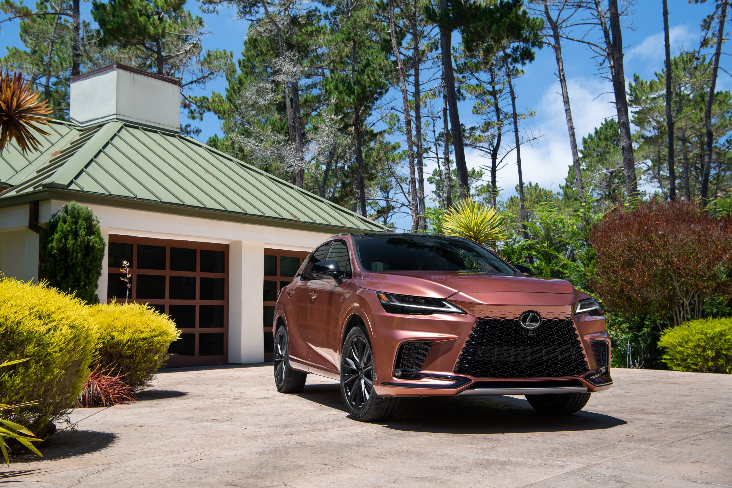 Images of the Lexus RX500H F Sport Performance