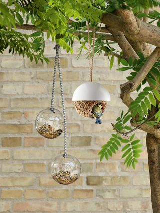 the best bird feeder: glass sphere shaped bird feeders from John lewis & Partners