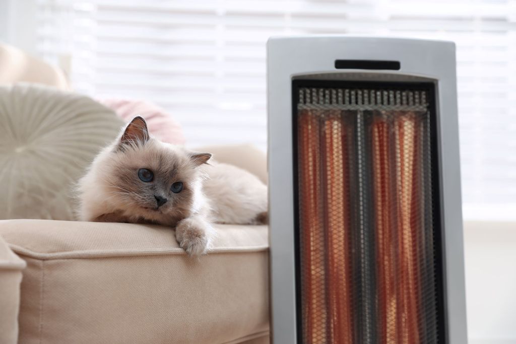 How much does a halogen heater cost to run and why they can be more