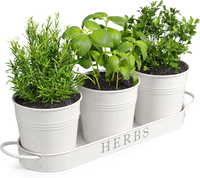 Indoor herb garden planter, Amazon