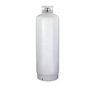 Worthington Pro Grade Steel Propane Tank: was $229, now $199 at Lowe's