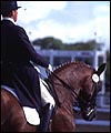 D29CE58A-B750-4EF5-A286-9A5047253B77.jpg