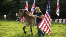 Credit-The-Horse-Agility-Club2.jpg