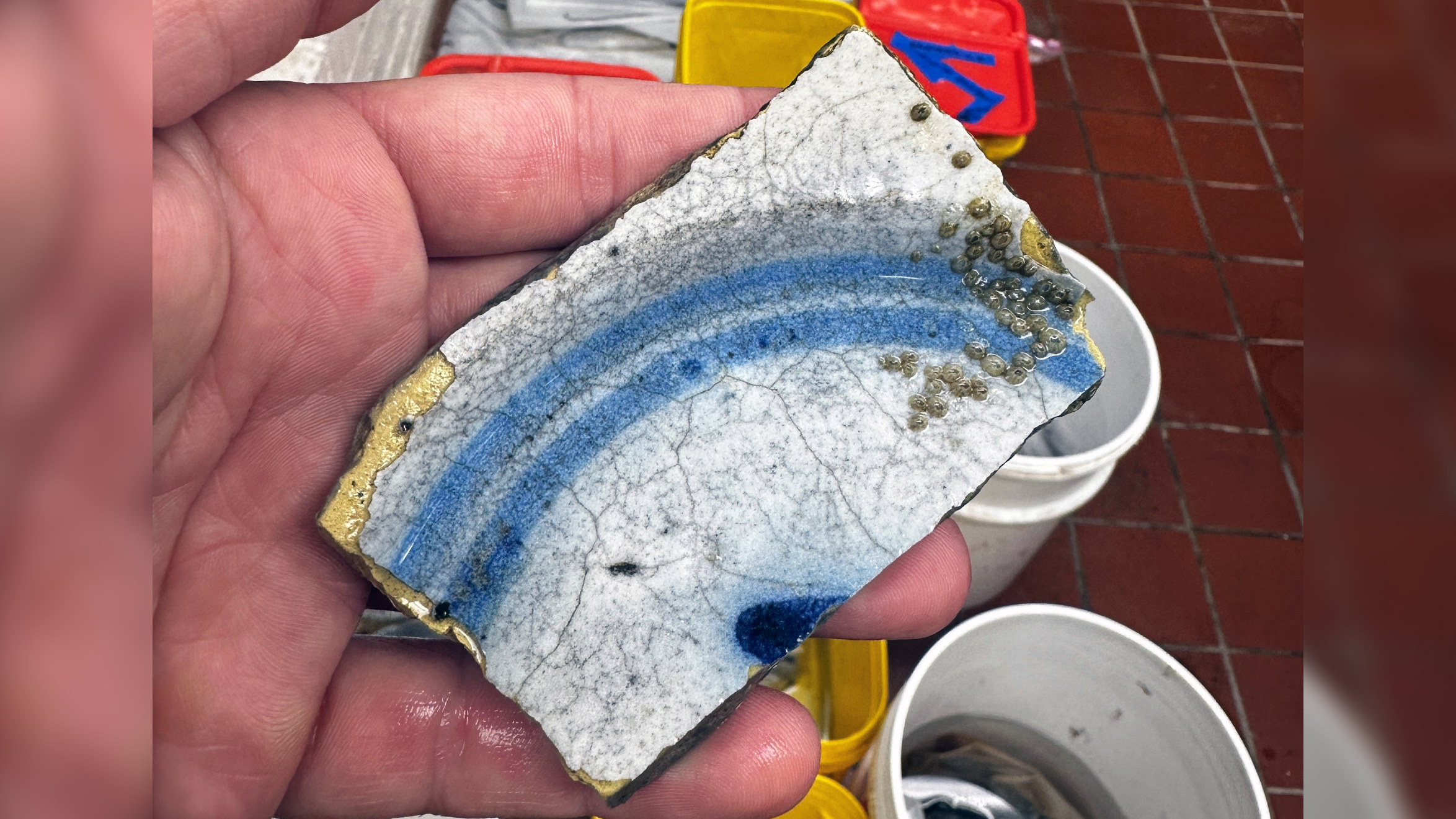A person holds a fragment of a blue-and-white piece of pottery