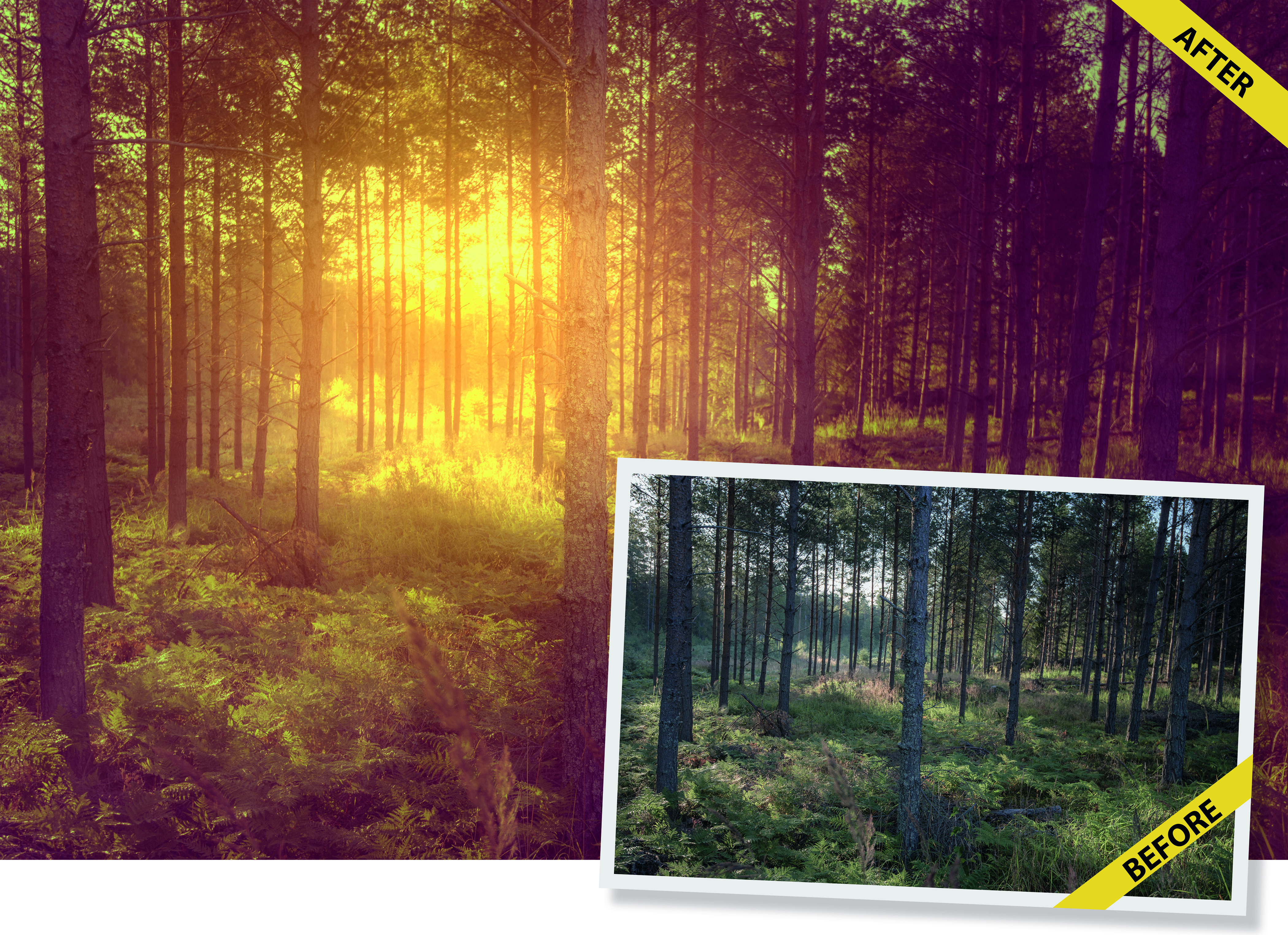 Add mood lighting to landscapes at home using this Photoshop CC trick