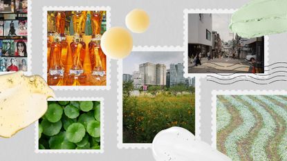 Worldly Beauty: Korean skincare ingredients collage