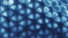 The scanning tunnelling image of the graphene sheet shows the honeycomb imprint of the 'electron ice' underneath it. 