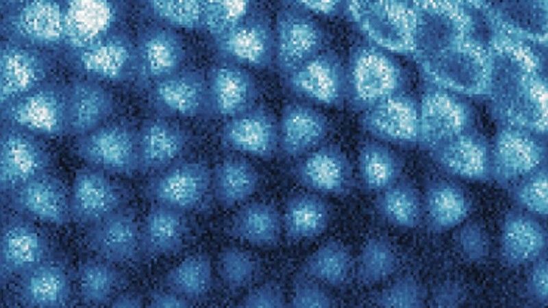 The scanning tunnelling image of the graphene sheet shows the honeycomb imprint of the &#039;electron ice&#039; underneath it. 