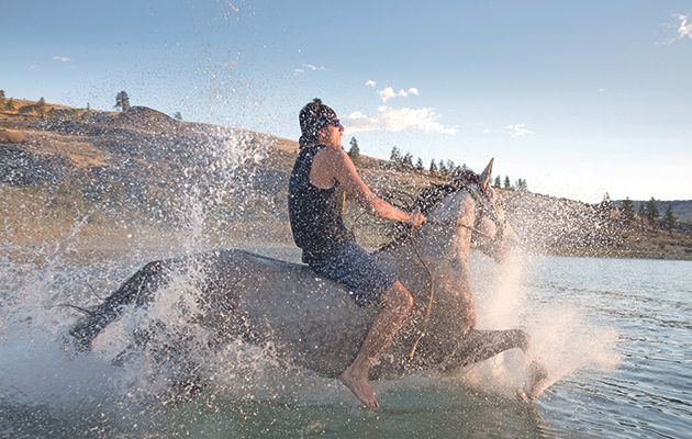 Stretching 3,000 miles along the spine of Canada and the USA, the Rockies are among the natural wonders of the world. They take a starring role in the opener of this magnificent three-parter, which explores life in tough mountainous areas.