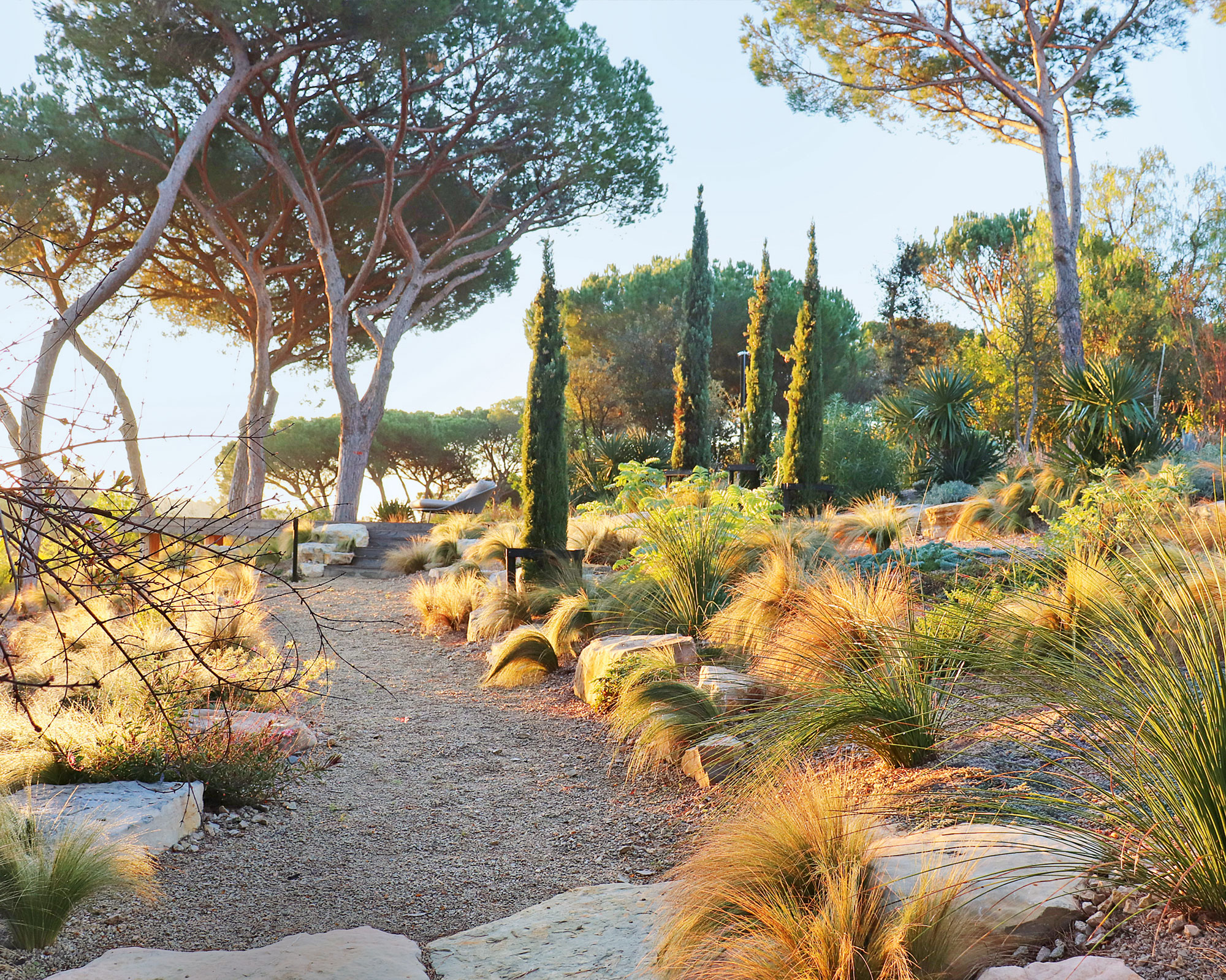 natural landscape with lots of natural grasses, rocks and bolder steps