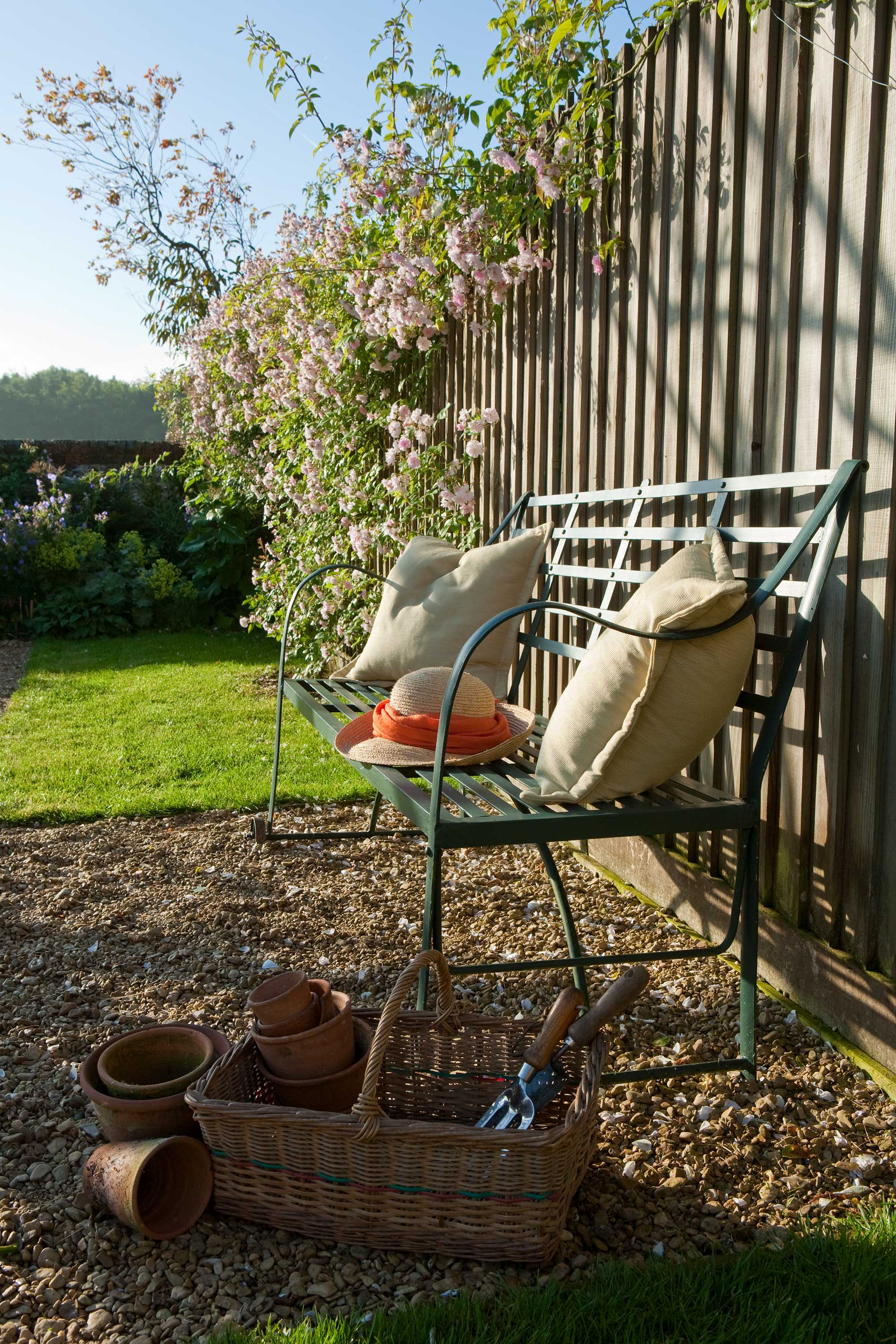 tall fence with bench and climbing roses