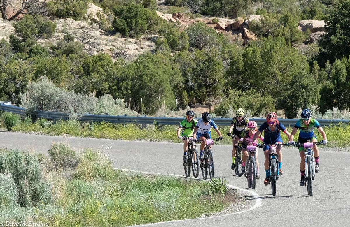 A group of riders making the road climb about an hour into the racing