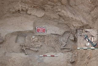 donkey skeleton buried 3,500 years ago