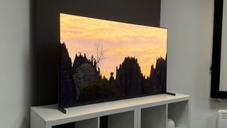The 55-inch Sony Bravia 8 II QD-OLED TV photographed on a white table. On the screen is a nature documentary.