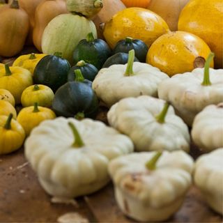 White patty pan squashes next to other squash vegetables