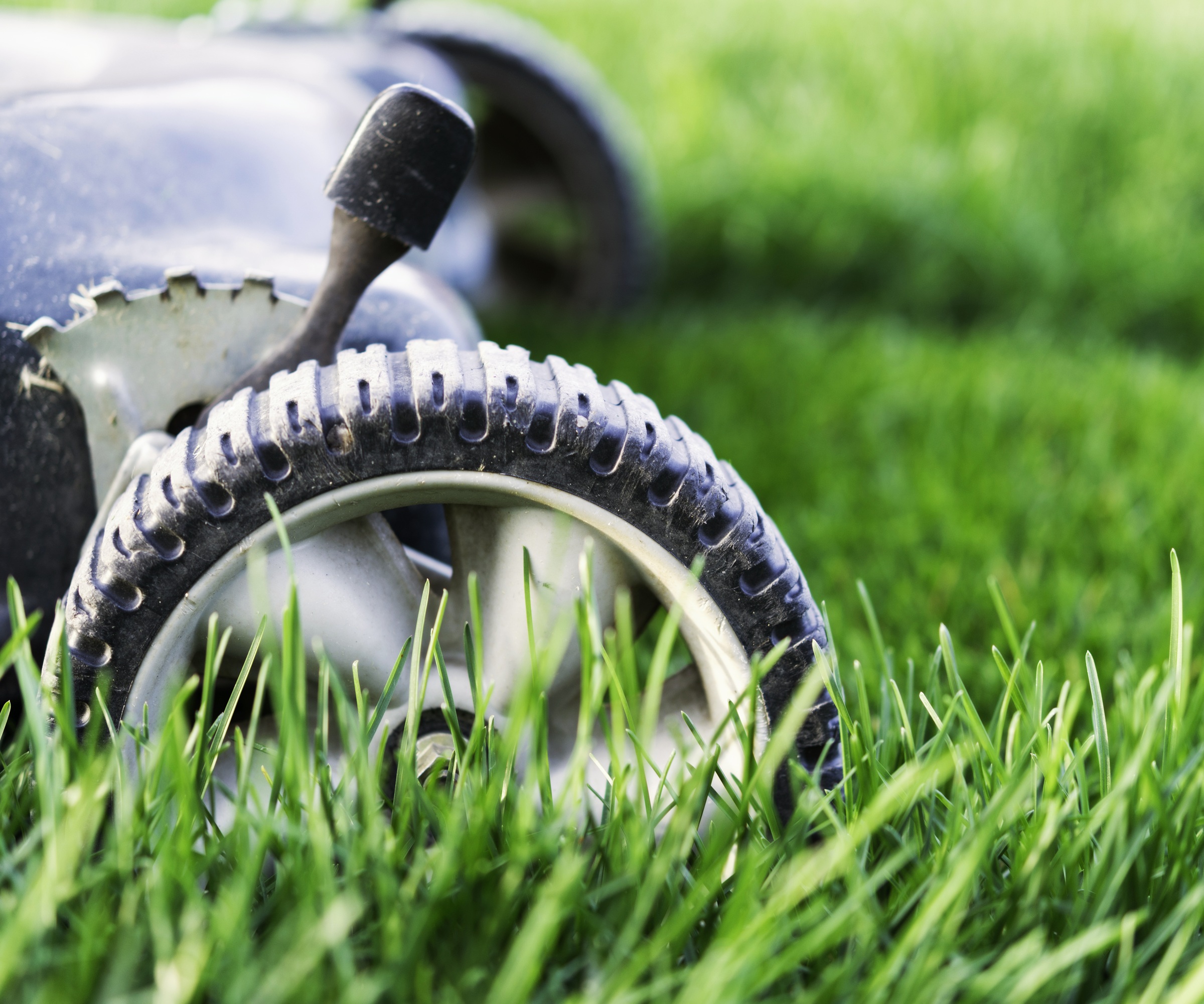 Mowing lawn