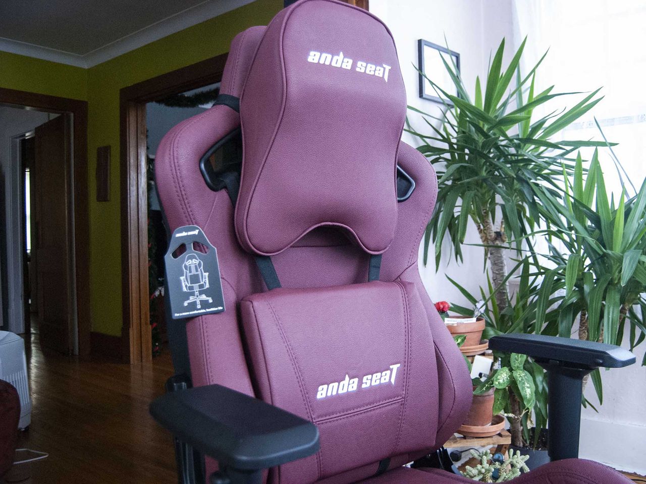 Anda Seat Kaiser 2