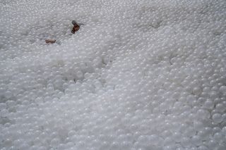 A close up of the hundreds of white balls in the display.