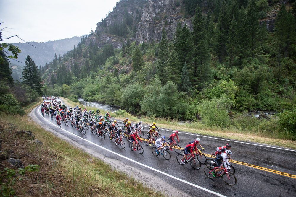The peloton heads into Logan Canyon.