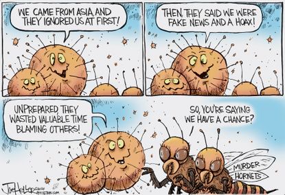 Editorial Cartoon U.S. murder hornets coronavirus