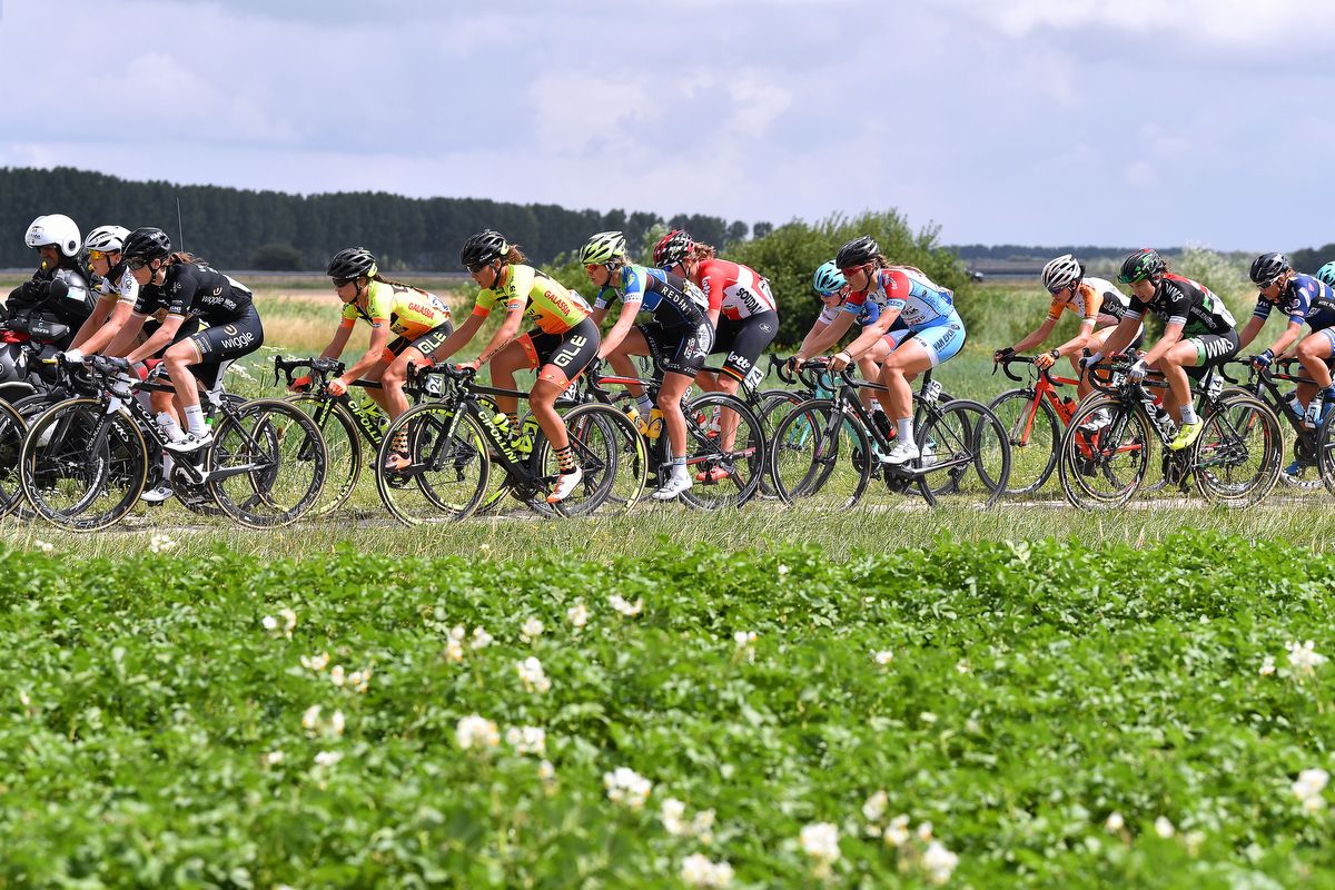 The peloton rolls along during stage 1