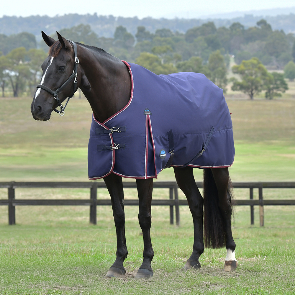 Horse in field wearing a navy Weatherbeeta ComFiTec Essential Turnout Rug