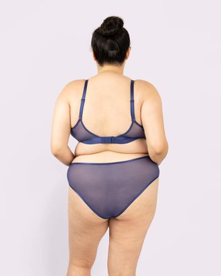 High Rise Cheeky | Silky Mesh | Archive (dolphin)