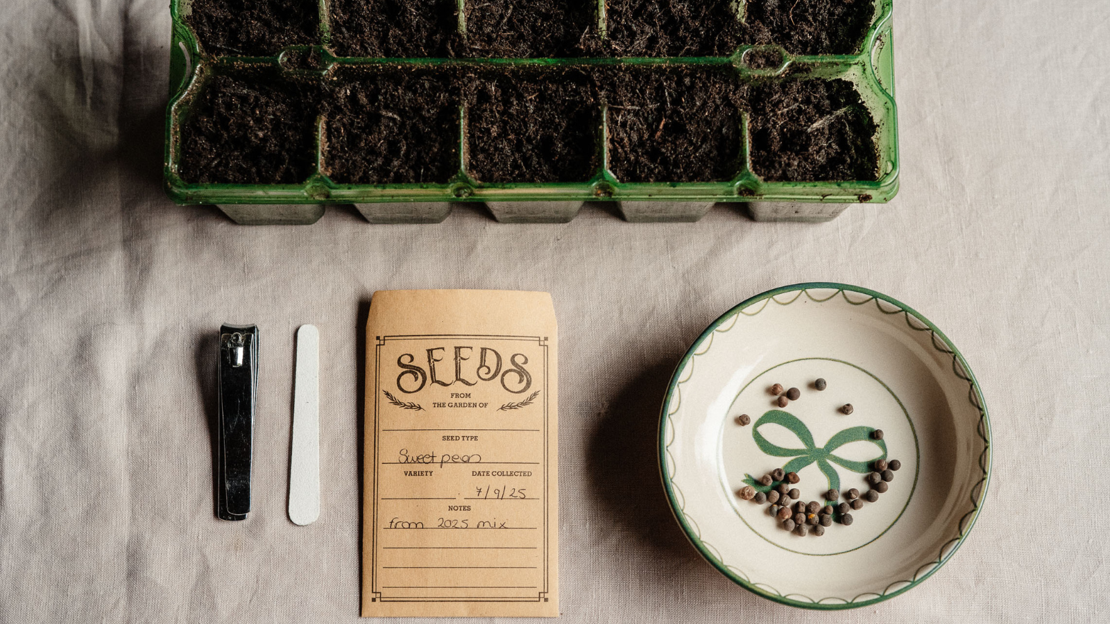 Flay lay of seed tray with compost, seeds in shallow ceramic dish, seed packet and nail clippers