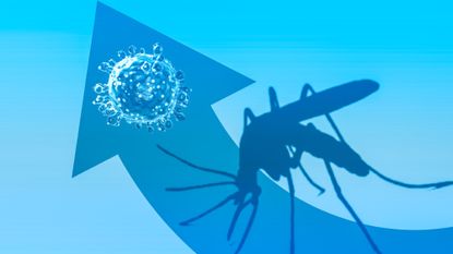 Mosquito and Oropouche virus with arrow