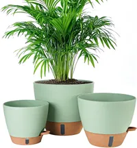Fielda Store Self Watering Pots
