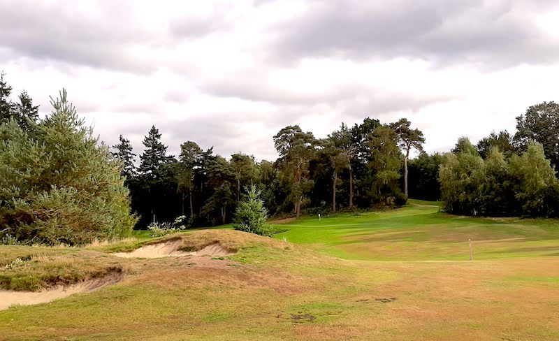 The short par-4 3rd has an almost heathland feel about it