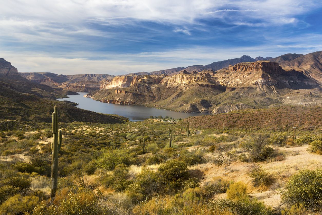 A desert scene in Arizona.