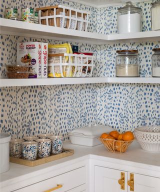walk in pantry with wallpapered walls and worktop space