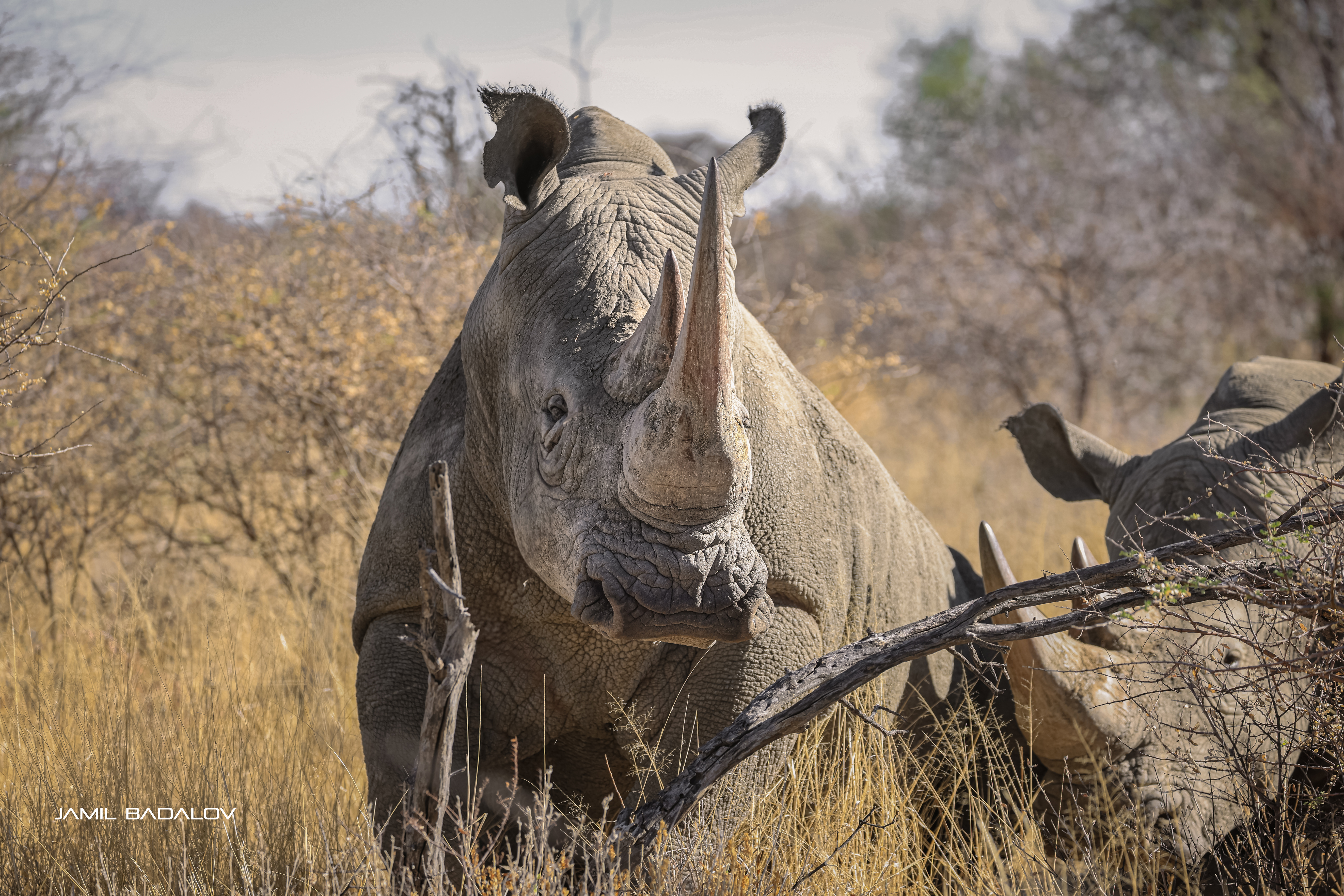 GuruShots - Nature March 2026