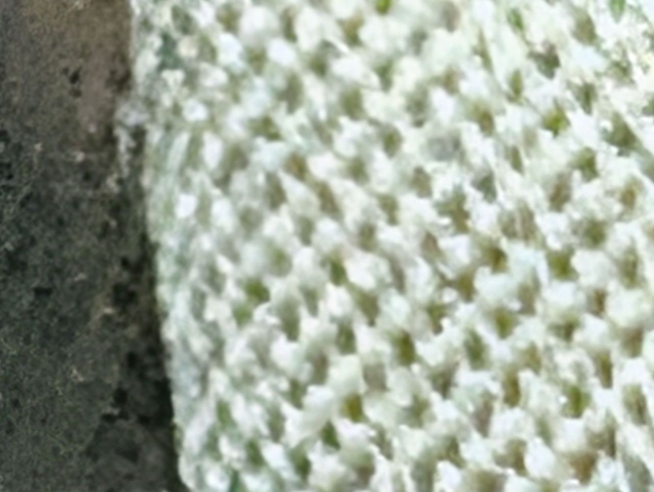 Google Pixel 10 Pro XL Pro Res Zoom sample.