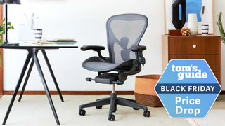 Black friday herman miller sale