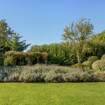 Garden area with a pergola, green grass lawn and flowerbeds and mature shrubs and trees